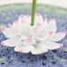 Ceramic handmade Lotus Incense Burner - Light green base netted with sky blue design